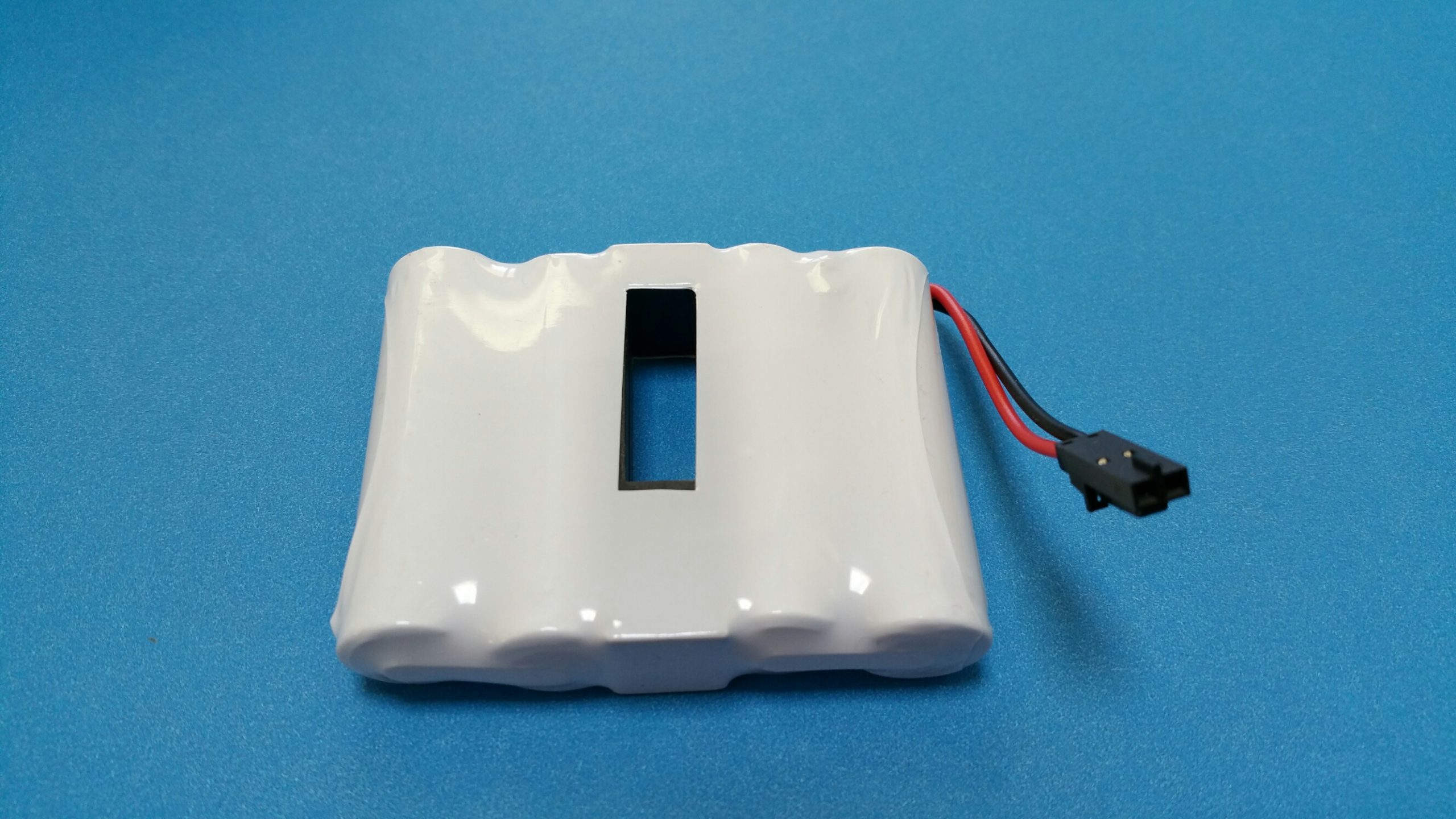 DL-02 AA Alkaline Battery Pack w/window and connector